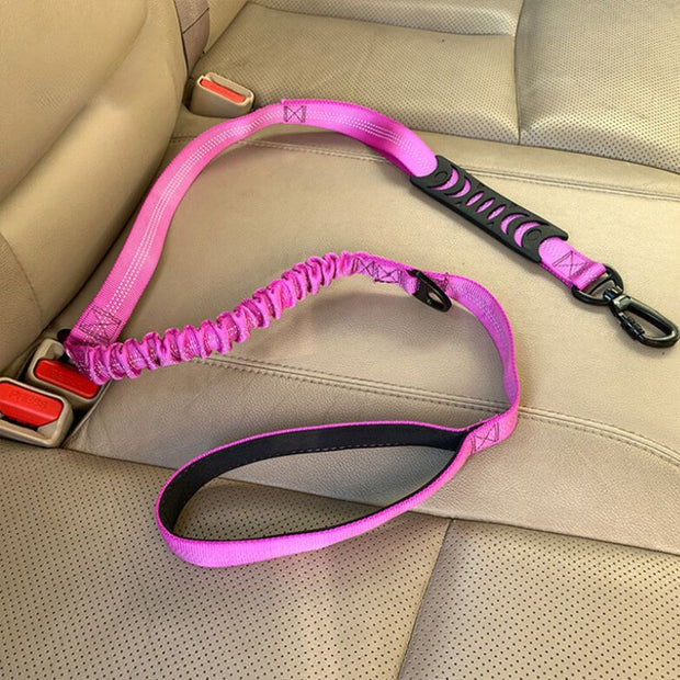 Laisse pour Chien Rose