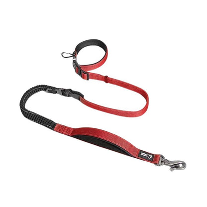 Laisse pour Chien Rouge