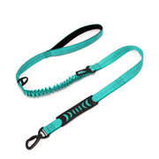 Laisse pour Chien Vert