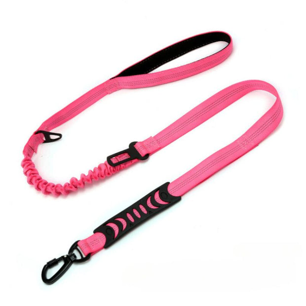 Laisse pour Chien