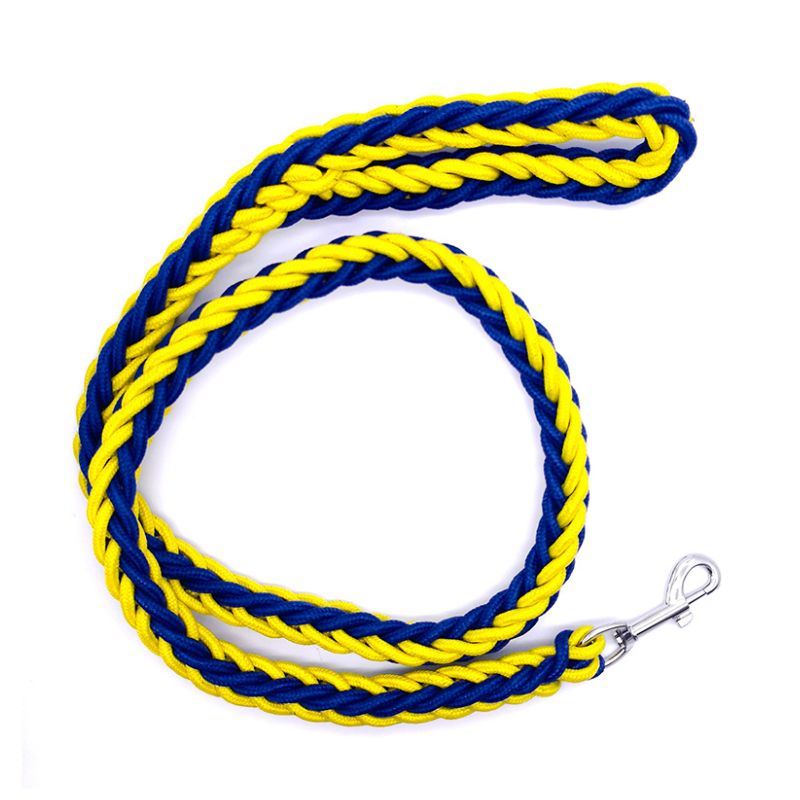 Laisse Chien Corde