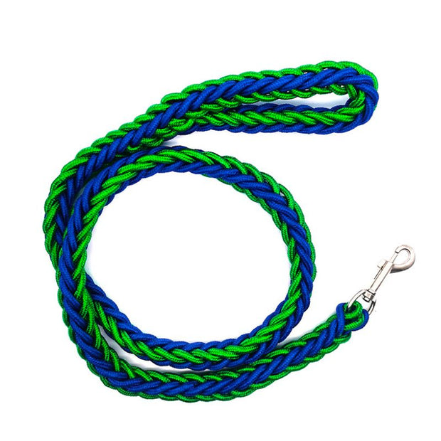 Laisse Chien Vert