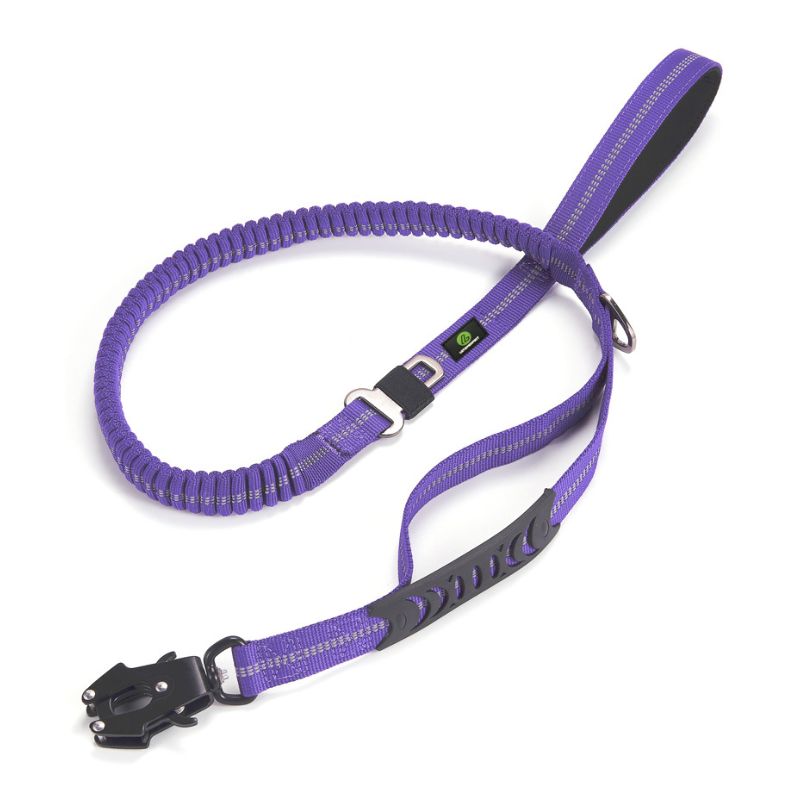 Laisse Chien Violet