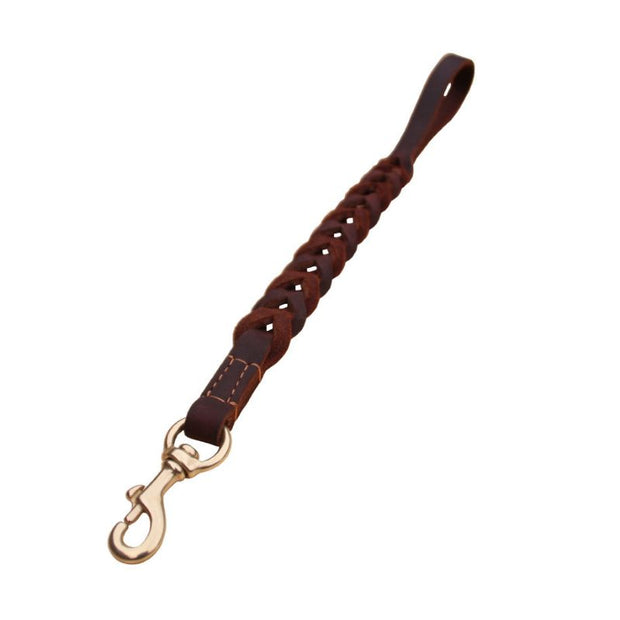 Laisse Cuir Chien