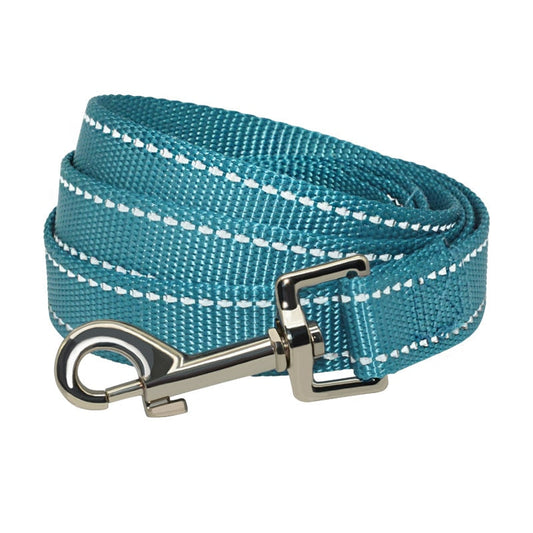Laisse pour Chien