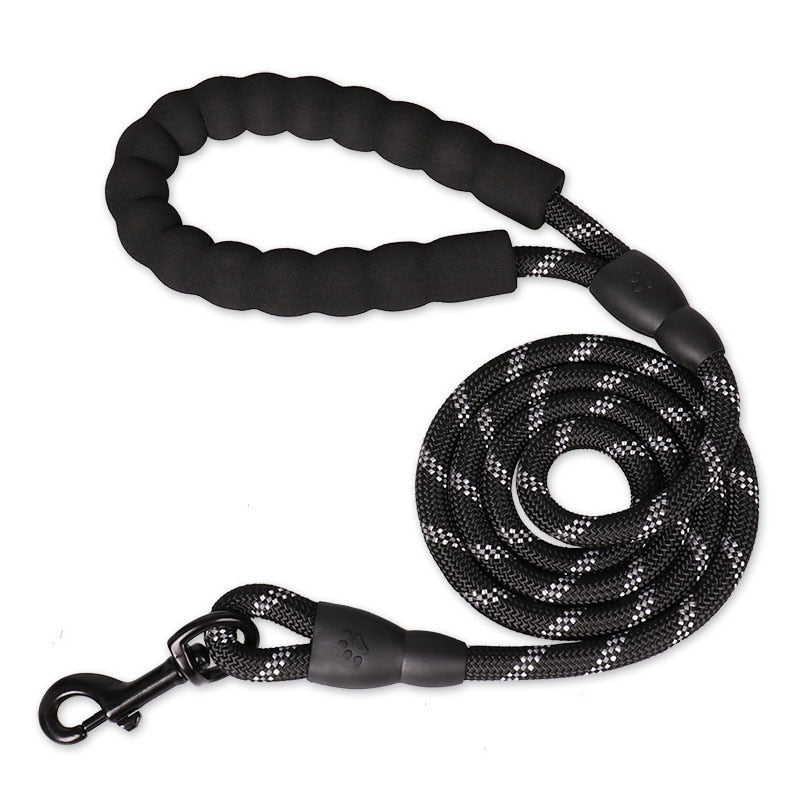 Laisse pour Chien