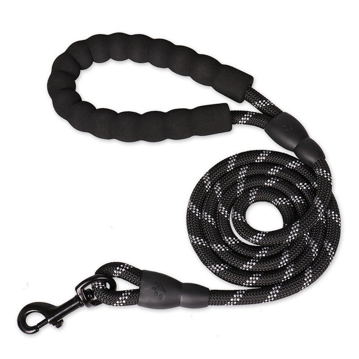 Laisse pour Chien