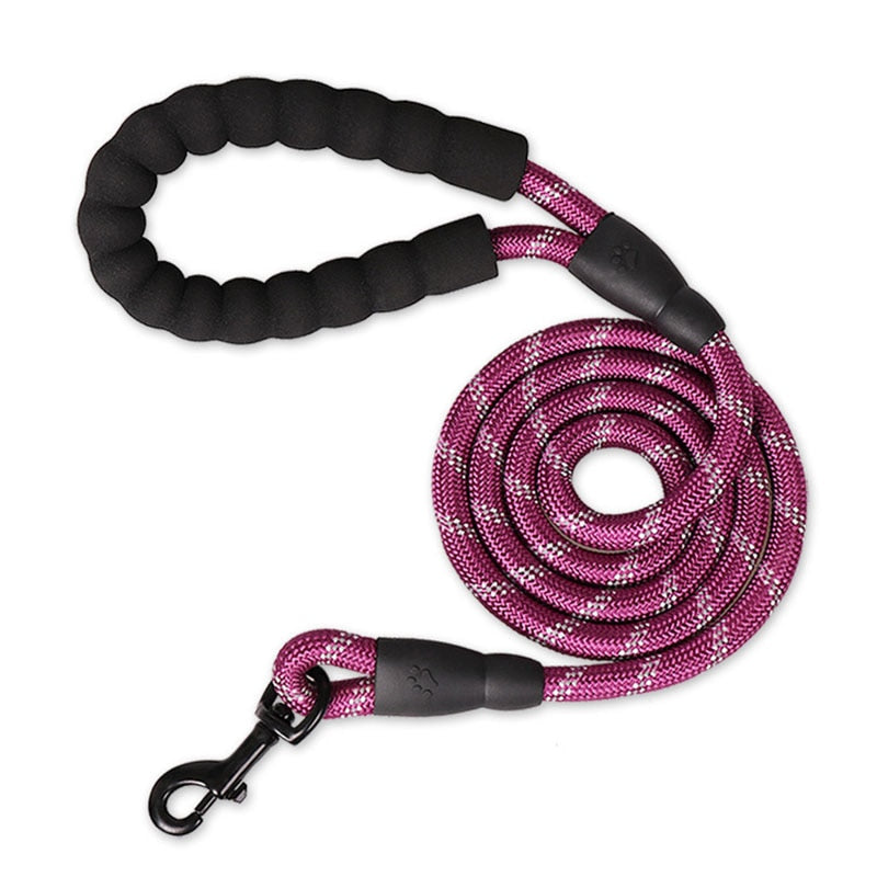 Laisse pour Chien Corde 