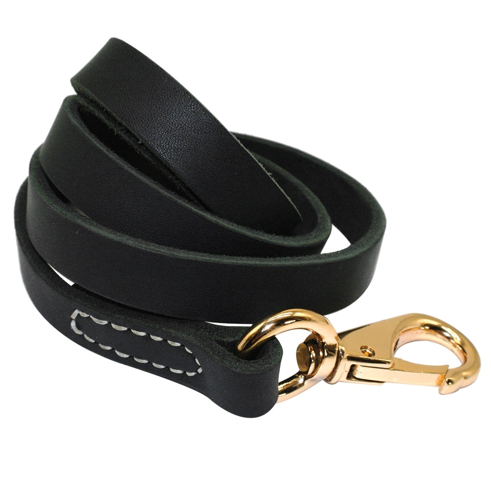 Laisse Cuir Chien