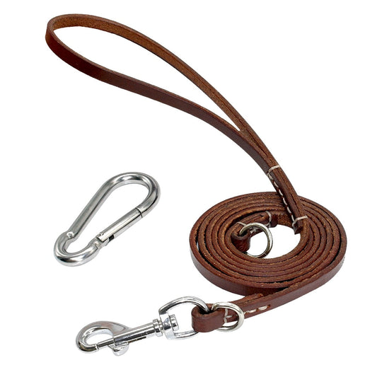 Laisse En Cuir pour Chien