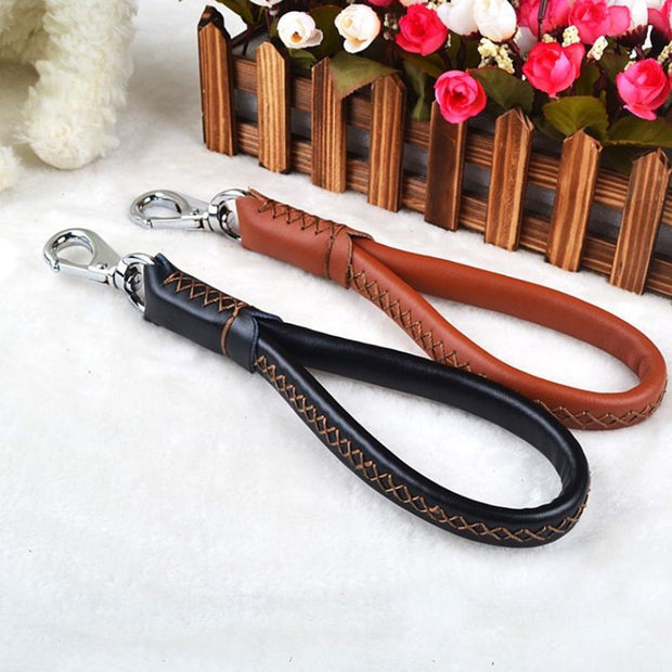 Laisse en Cuir pour Chien