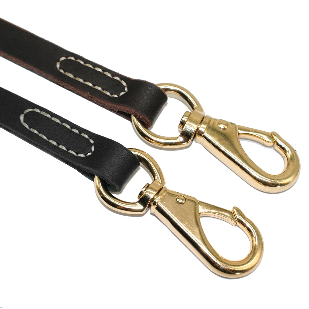 Laisse en Cuir pour Chien