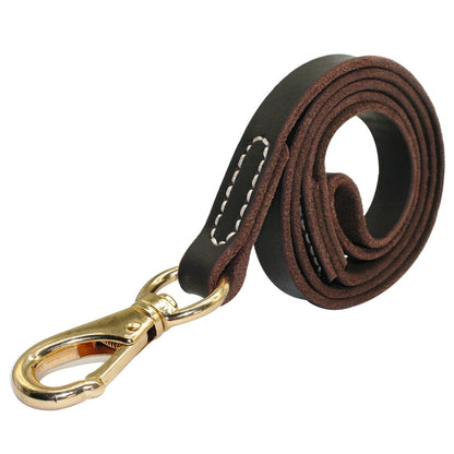 Laisse En Cuir pour Chien
