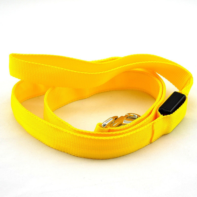 Laisse Lumineuse Led Jaune