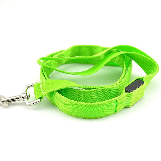 Laisse Chien Verte