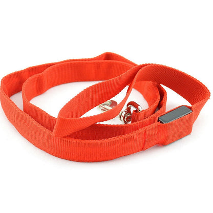 Laisse Lumineuse Led Rouge