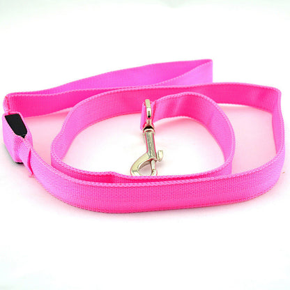 Laisse Lumineuse Led Rose