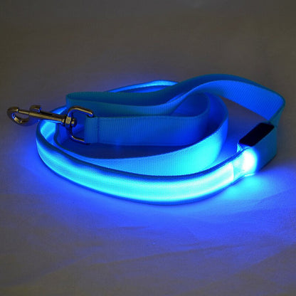 Laisse pour Chien Lumineuse