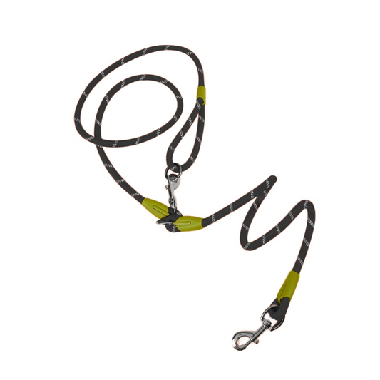 Laisse pour Chien