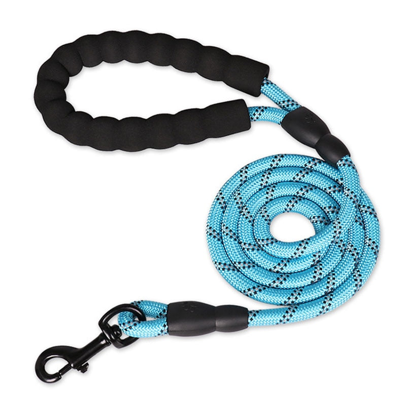 Laisse Corde Nylon Turquoise