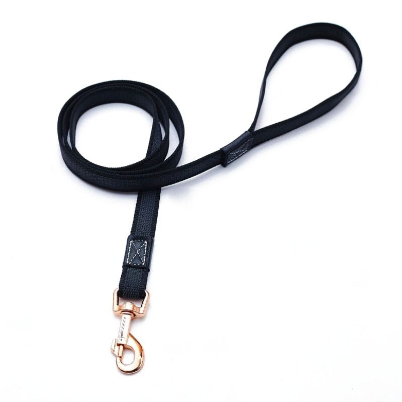 Laisse  pour Chien