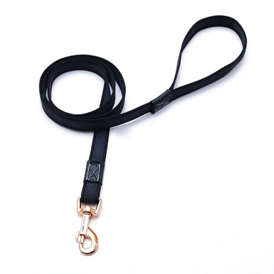 Laisse  pour Chien