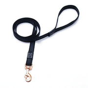 Laisse  pour Chien