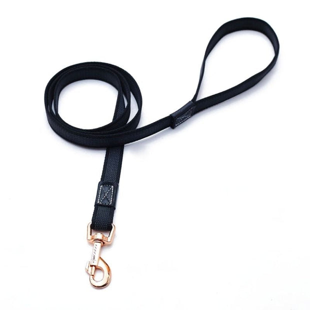 Laisse  pour Chien