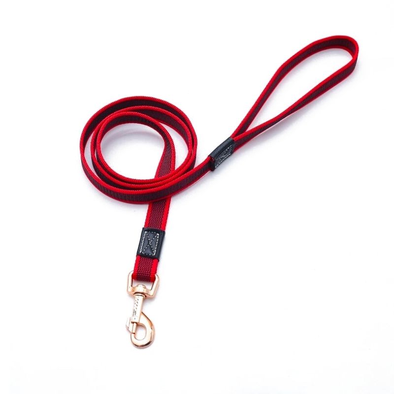 Laisse pour Chien husky