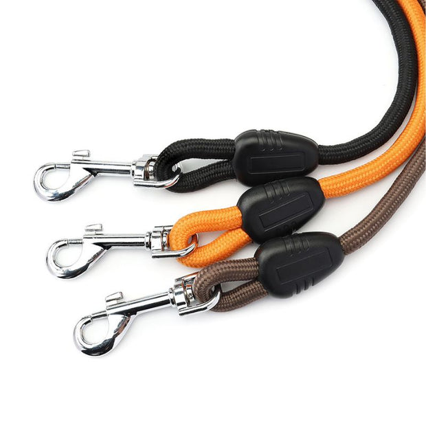 Laisse pour Chien
