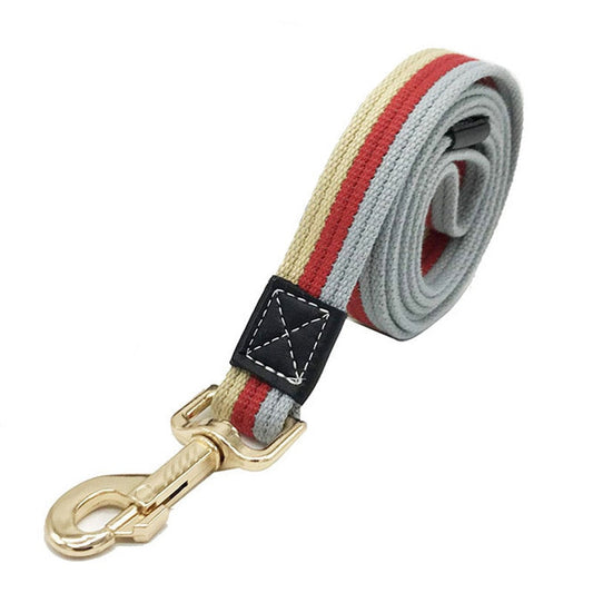 Laisse pour Chien