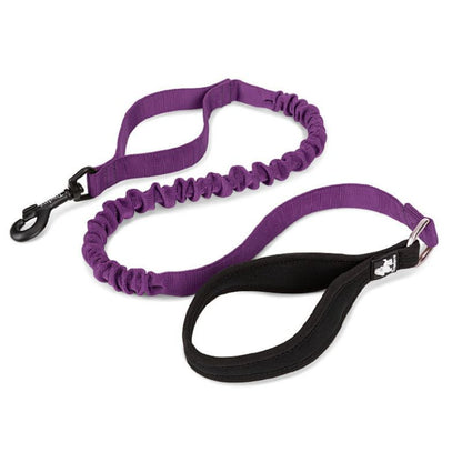 Laisse Rétractable Violette