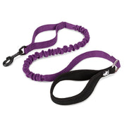Laisse Rétractable Violette