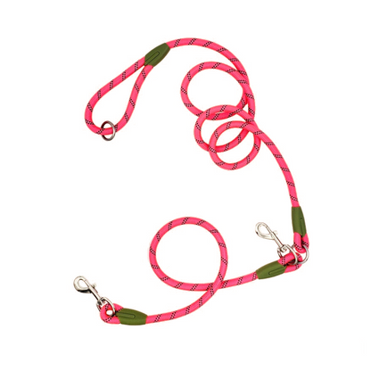 une laisse pour chien