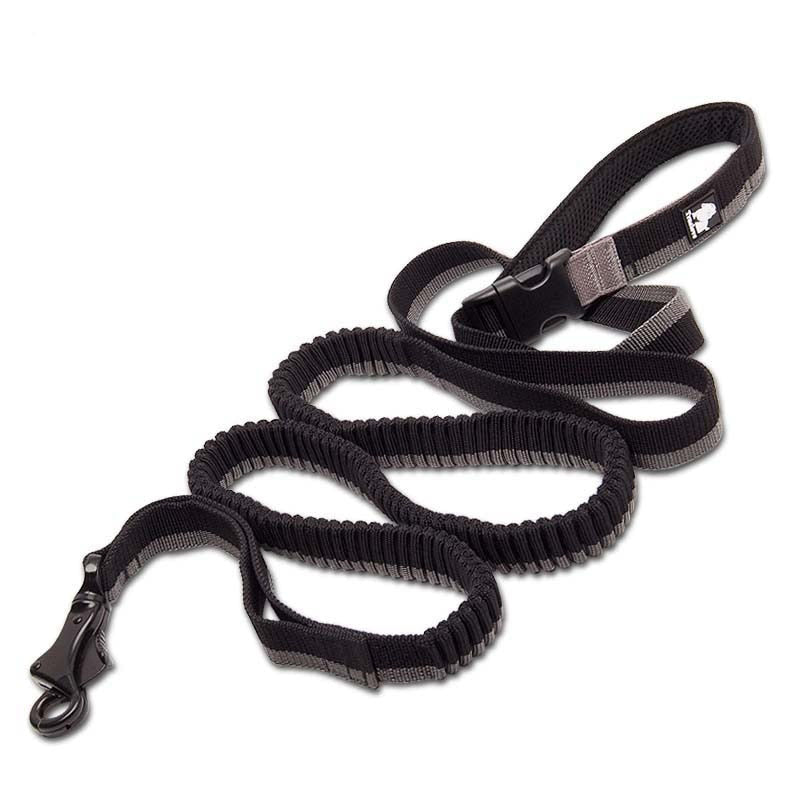 Laisse TrueLove Nylon  Noir