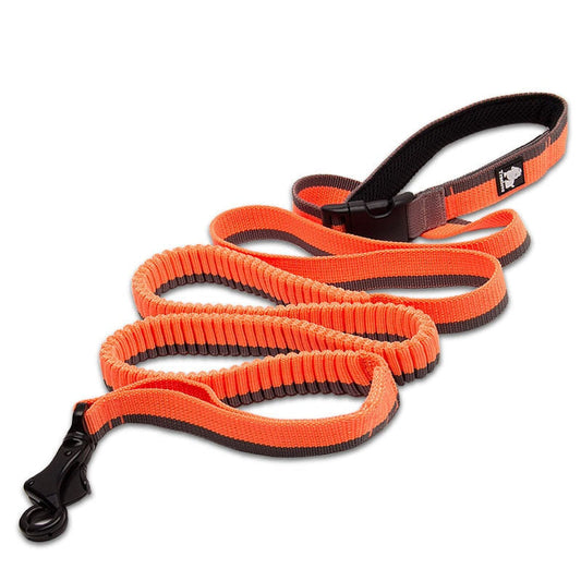 Laisse TrueLove Absorbant choc