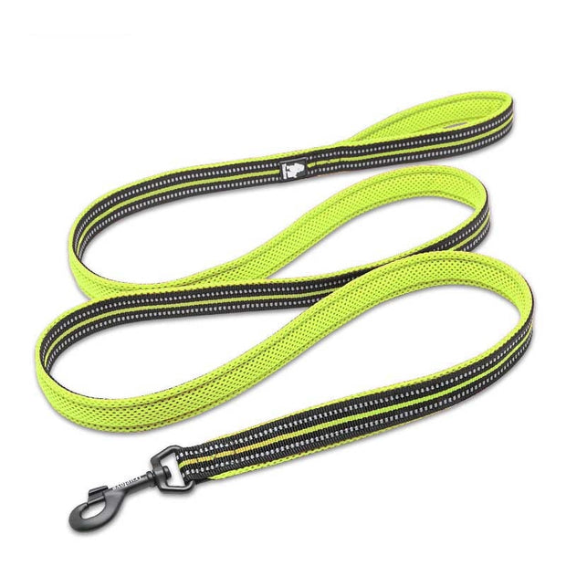 Laisse TrueLove Réfléchissante Fluo