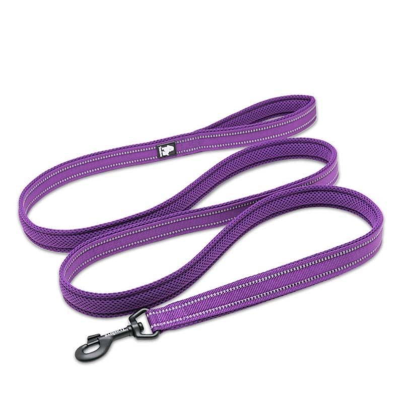 Laisse TrueLove Réfléchissante Violet