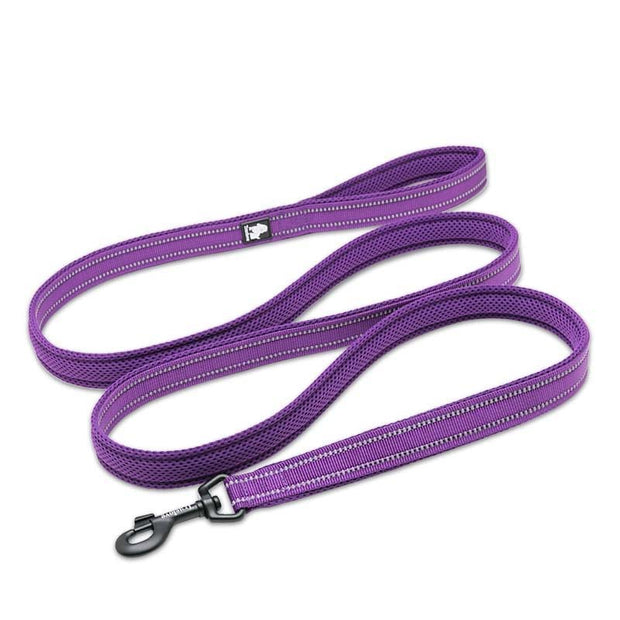 Laisse TrueLove Réfléchissante Violet