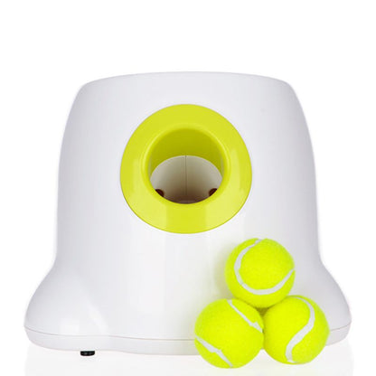 Lance Balle pour Chien