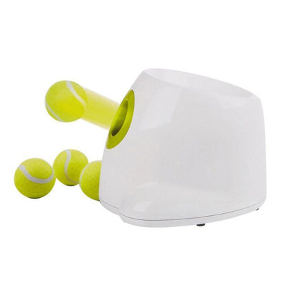 Lance Balles pour Chien