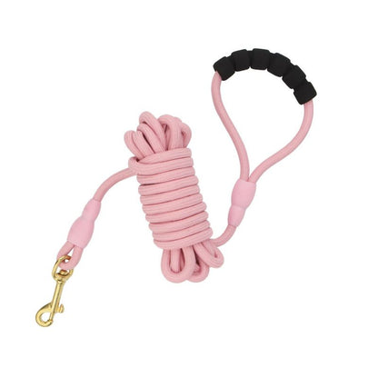 Longe Chien Rose
