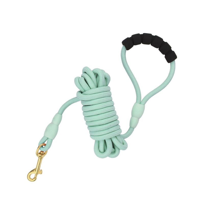 Longe Chien Vert