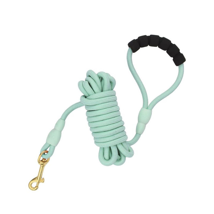 Longe Chien Vert