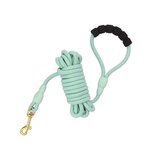 Longe Chien Vert