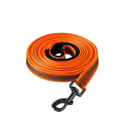 Longe pour Chien