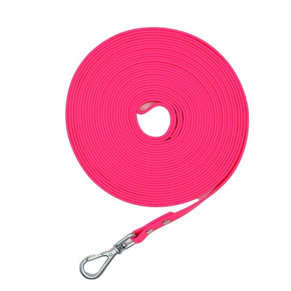 Longe Dressage Chien