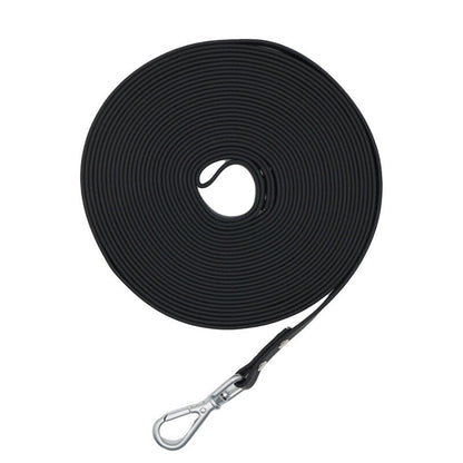 Laisse Corde pour Chien