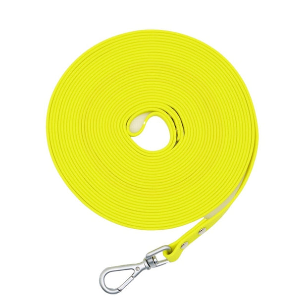 Corde pour Chien