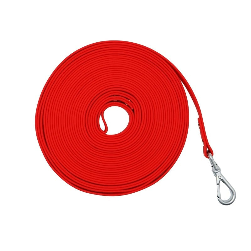 Longe pour Chien